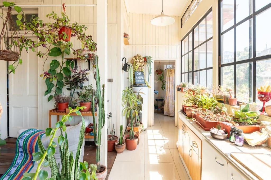 Espacio Unico Y Tranquilo Valparaíso